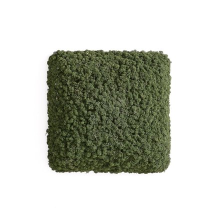 Live plant acoustic wall panel RUDY, 450x450 mm, green