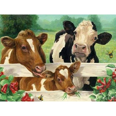 30x40cm Voksne Børn 5D DIY Diamantmaleri Sæt - Farm Ko, F