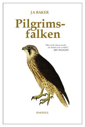 Pilgrimsfalken - Bok av J. A. Baker - Danskt band
