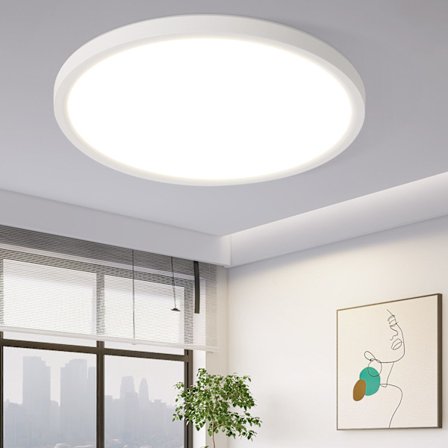 NETTLIFE LED Taklampa Badrum Platt 24W Rund Vit Kök Taklampa Ej Dimbar