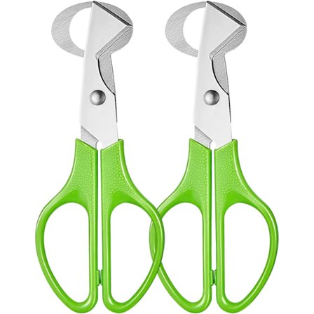 Vapaan kananmunan sakset Ruostumaton teräs 2 kpl Vapaan kananmunan sakset Munaleikkuri (Vihreä)