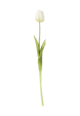 Åhléns Home Konstväxt tulpan Blommor & växter Vit ONESIZE