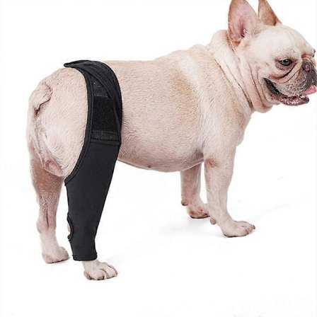 MIMIGO Albuebeskyttere for hunder, støtteputer for hundealbue og skulder, albuehygrom, dysplasi, osteoartritt, albuecalluses, Pressu LGL XS