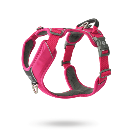 DOG Copenhagen - Comfort Walk Pro 3.0 Harness - Wild Rose