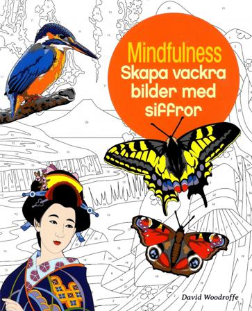 Mindfulness : skapa vackra bilder med siffror - Bok av David Woodroffe - Häfte