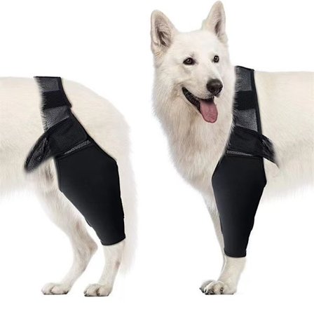 Stödbandage för korsband hos hund - Stabiliserande knäskydd kompatibelt med aktiva husdjur