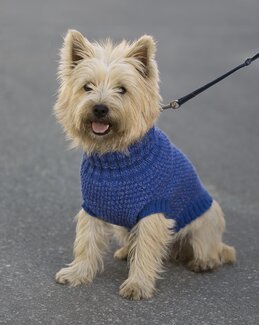 Beskrivning Reflexväst hund - Viking of Norway