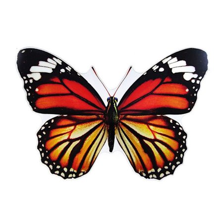3D Butterfly Wall Stickers Sommerfugle Decals 4 4