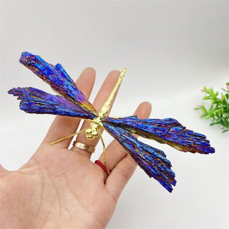Aura Tourmaline Kyanite Dragonfly Sommerfugl og Dragonfly