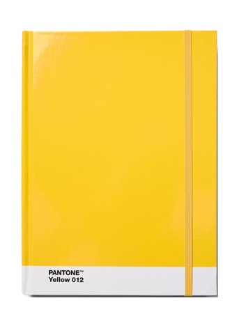 PANTONE | Pantone Notebook L Dotted | L