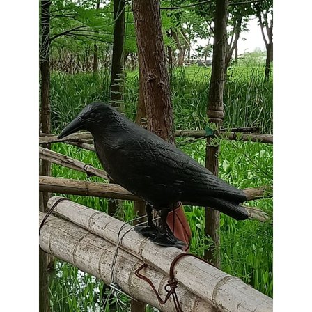 Plastik Sort Krage, Fugleskræmsel Løsning, Skræm Duer og Bi