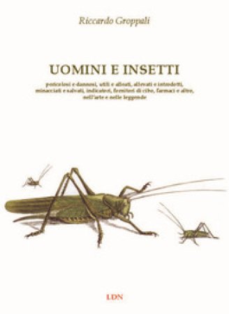 Uomini e insetti. Pericolosi e dannosi, utili e alleati, allevati e introdotti, minacciati e salvati, indicatori, fornitori di cibo, farmaci e altro, 