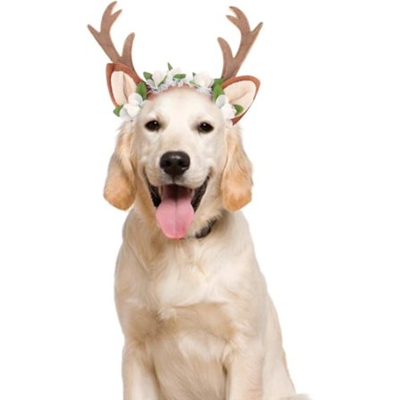 Jul hund horn diadem ren horn jul horn katt och hund diadem blommor stora hundar