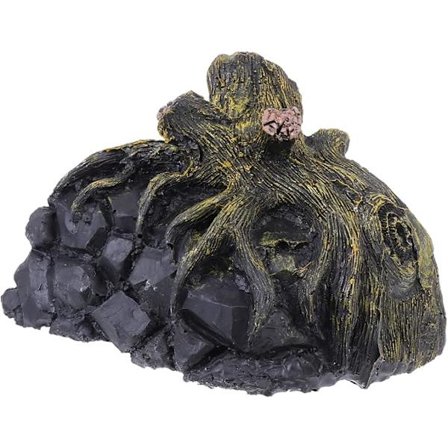 Reptiltåke grotte reptilbeskyttelse skilpadde flytende terrasse dyreleker skilpadde hvilestilling