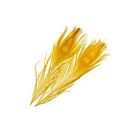 Frödin SNS Peacock Eye Feathers - B&D Lion Yellow