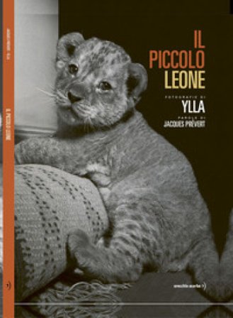Il piccolo leone. Ediz. illustrata Jacques Prévert