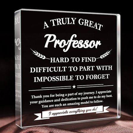 Professor Anerkendelse Tak Gave, En Virkelig Fantastisk Professor Plakette Dekor - Lærerdagsgave, Pensionerings Fødselsdags Anerkendelse Gave til 