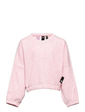 Studio Lounge Botanical Dye Sport Crew Pink Adidas Performance