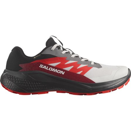 Salomon Alphaglide GTX Lunar Rock/Black/Biking Red