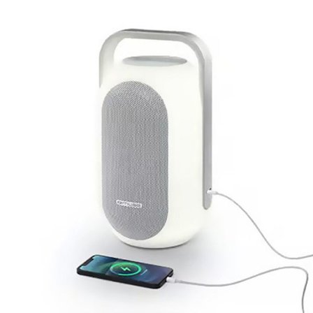 Trådløs højttaler 60W med indbyggede farver, Bluetooth - 5 naturlyde - sprøjtebeskyttelse IPX4 - Håndfri