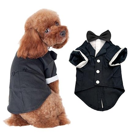 Hundeskjorte Valp Kjæledyr Liten Hund Klær, Elegant Dress Bow Tie,