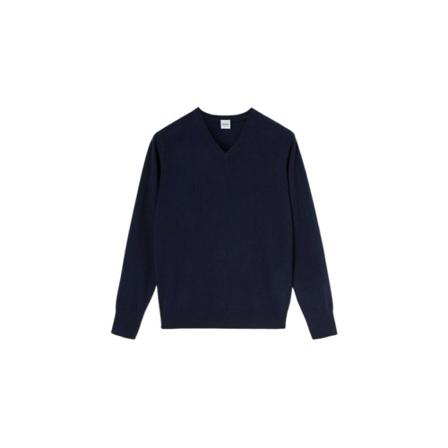 Aspesi, Pull neck v m 106.4567 Blauw, Heren, Maat:S