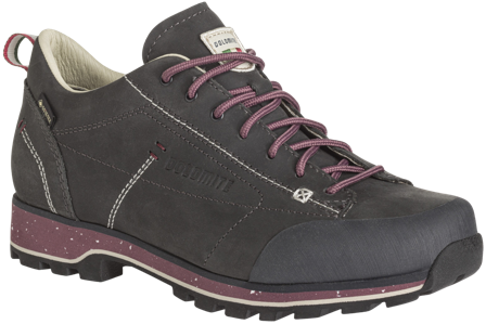 Dolomite 54 Low Fg Evo GTX naisten kengät, harmaa