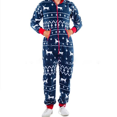 Julfamiljsmatchande pyjamas Hoodies