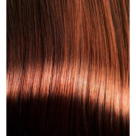 Fake Hair/Wig - Long Curly Hair - Light/Dark Brown