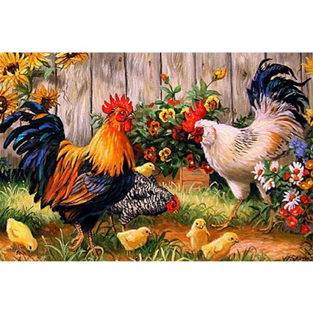 5D (30x40cm) Timanttimaalaus Coq Animaux Diamant Painting Diama