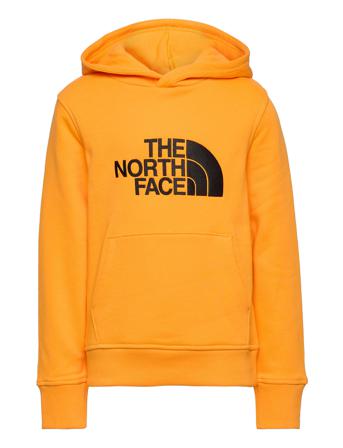 Y Drew Peak P/O Hd Hoodie Guld The North Face
