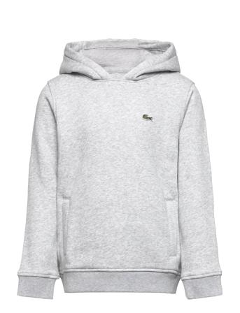 Sweatshirts Hettegenser Genser Grå Lacoste