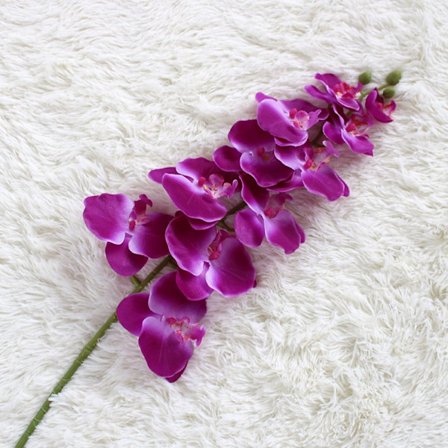 Butterfly Orchid tekokukka TUMMIEN VILLA