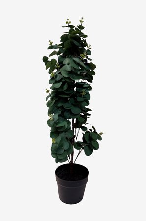 Nordic Furniture Group - Konstväxt Viridis Eucalyptus 78 - Grön - Konstgjorda växter - Från Homeroom