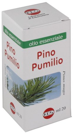 Kos Olio Essenziale Pino Pumilio 20ml