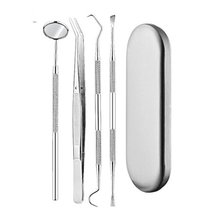 Professional dental hygiene kit - 4 parts stainless steel Silver - Julklappa