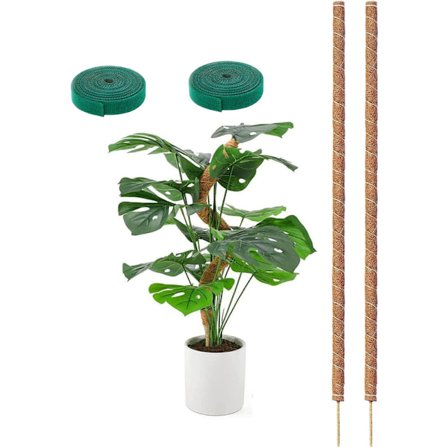 Kasvituki / tukikeppi, Taivutettava Sammalkeppi 70-100cm – Kiipeilytuki 1/2-pakkaus, sisäkasveille, muratille ja monsteralle