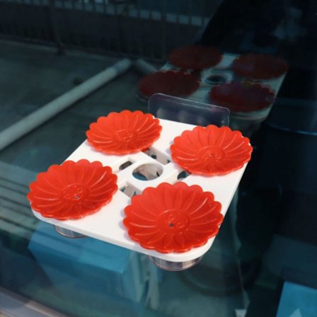 Hummingbird Feeder Håndholdt vandfoderautomat RØD