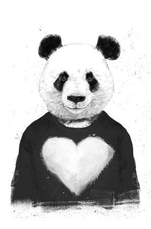 Pelcasa - Plakat Lovely Panda - Hvid - Posters - Fra Homeroom