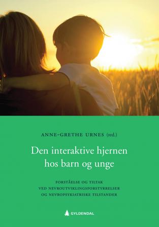 Den interaktive hjernen hos barn og unge - Bok - Paperback