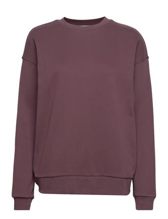 Aarin Svetari Collegepaita Burgundy ARMEDANGELS