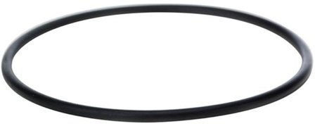 Beulco 0850932000 O-ring till Björnfilter, Vatten