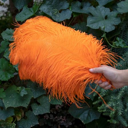 10 stk Hvide Strudsefjer 15-50cm Naturlige Strudsefjer til Håndværk Bryllup Fest Hjem Dekoration Bord Midtpunkt Dekoration Orange 25-30 CM
