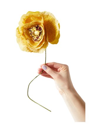 Paper Flower Yellow Studio About