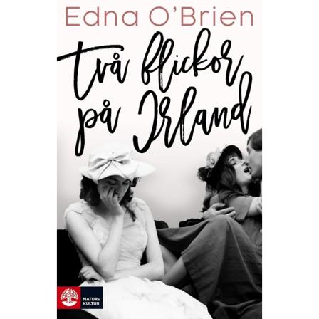 Två Flickor På Irland 9789127166578