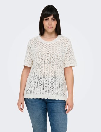 ONLY Carmakoma Carsaga Life Ss O-Neck Knt - White - 50-52