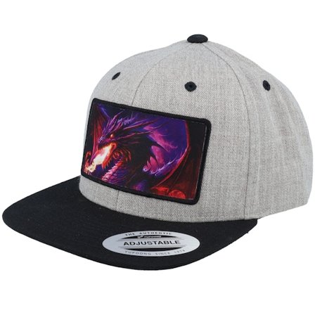 Kiddo Cap - Grijs snapback Cap - Kids Purple Dragongrey/Black Snapback @ Hatstore