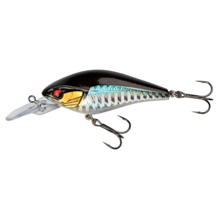 Daiwa Prorex Toddler Crank 60 MR - Kibinago
