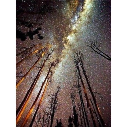 30 x 40 cm, Diamantmålning Broderi Diamantmålning Canvas 5