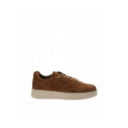 Nerogiardini, Sneakers Bruin, Heren, Maat:43 EU